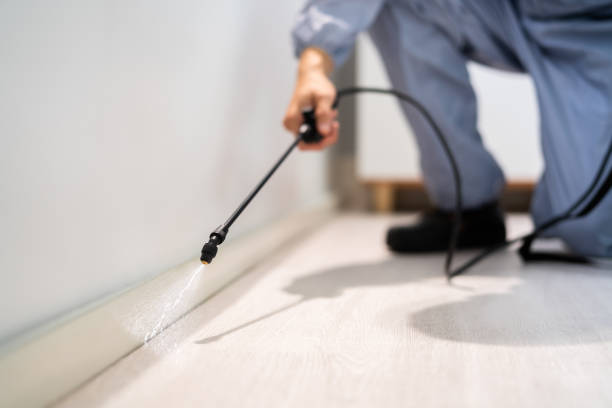 Licensed Pest Control service in Woodland Park, NE - Show Me Pest Control