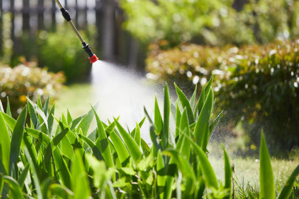 24/7 Emergency Wasp Removal experts in Woodland Park, NE